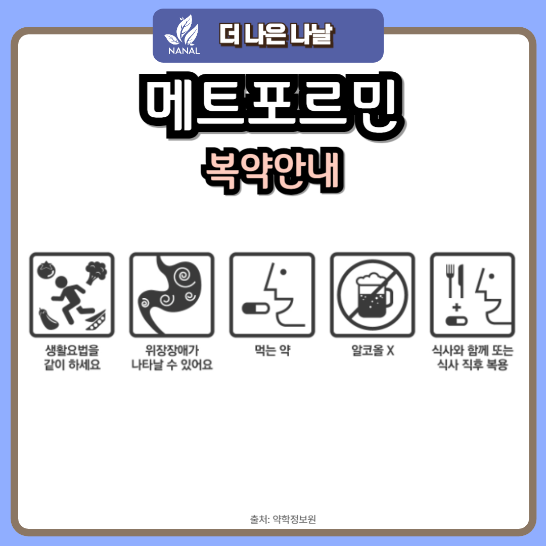 메트포르민 부작용 속 불편? 부작용 줄이는 꿀팁과 임상 결과 공개! 3 메트포르민 복약안내