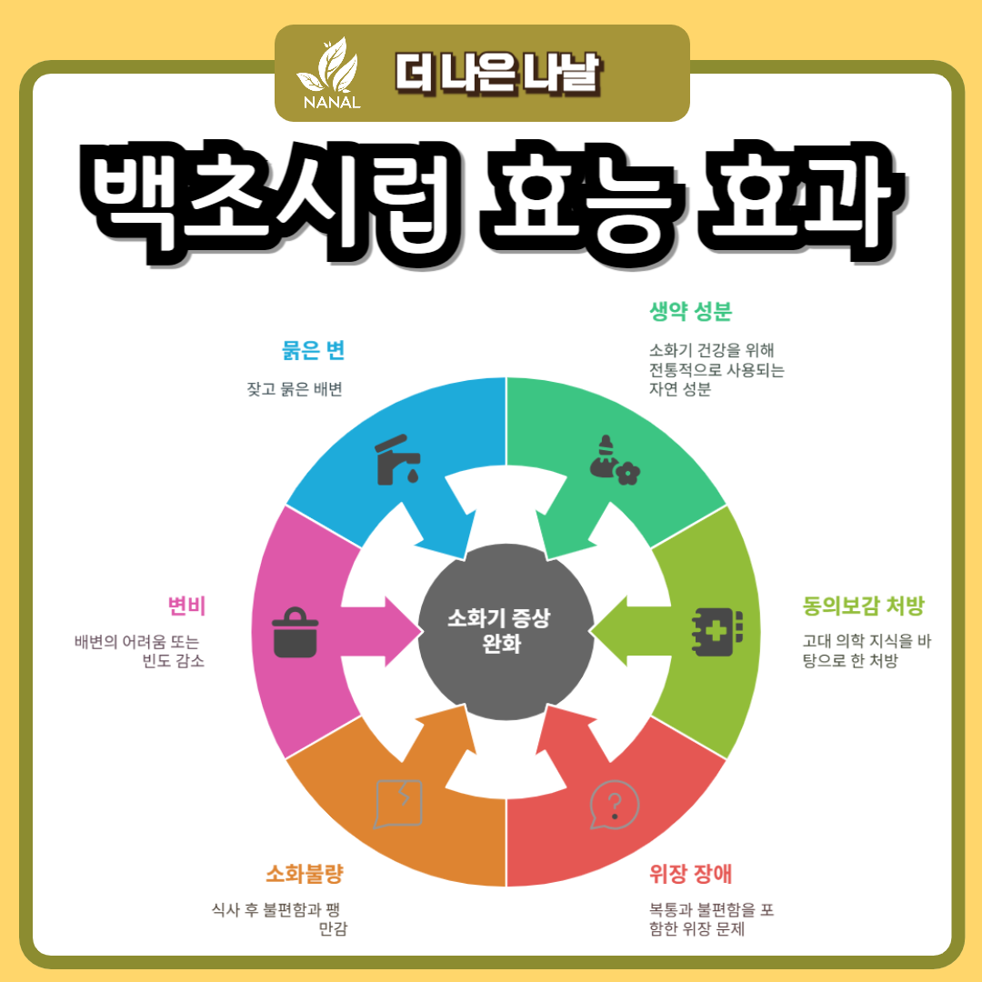 백초시럽 효능 효과