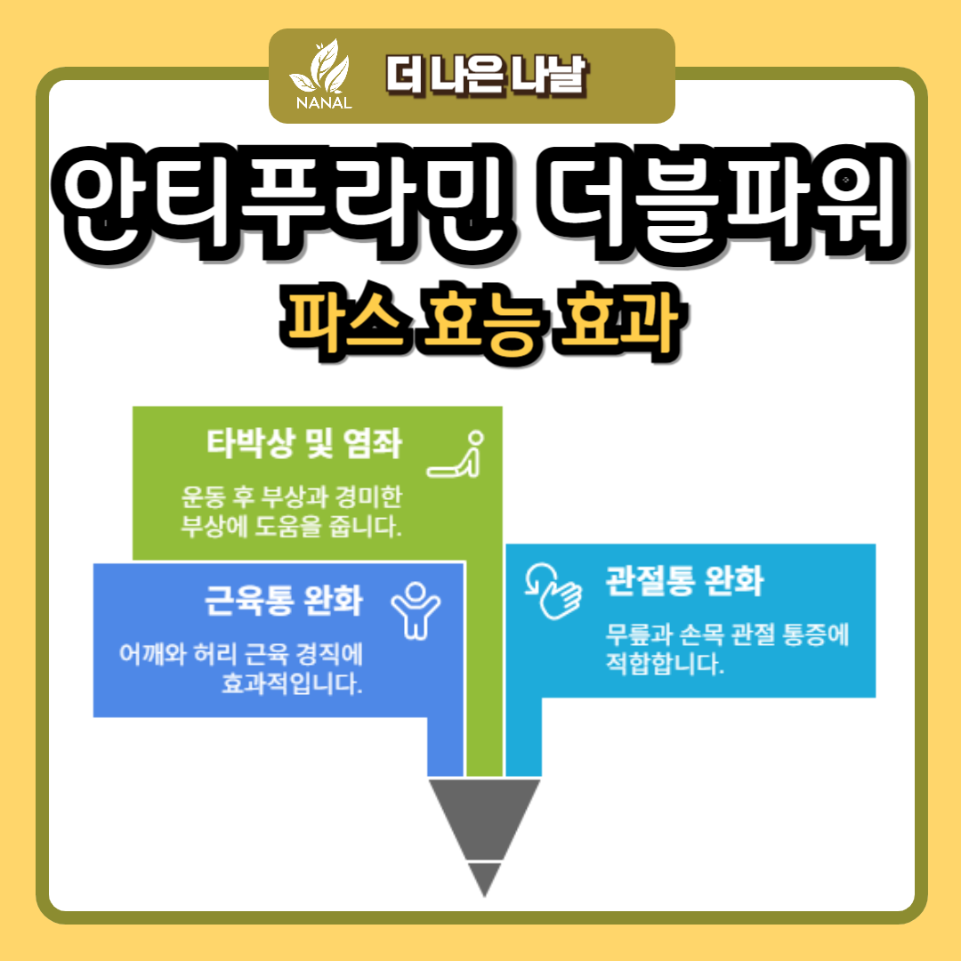 안티푸라민 더블파워 파스 효능 효과