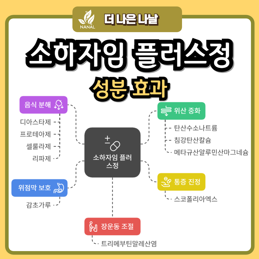 소하자임 플러스정 성분 효과