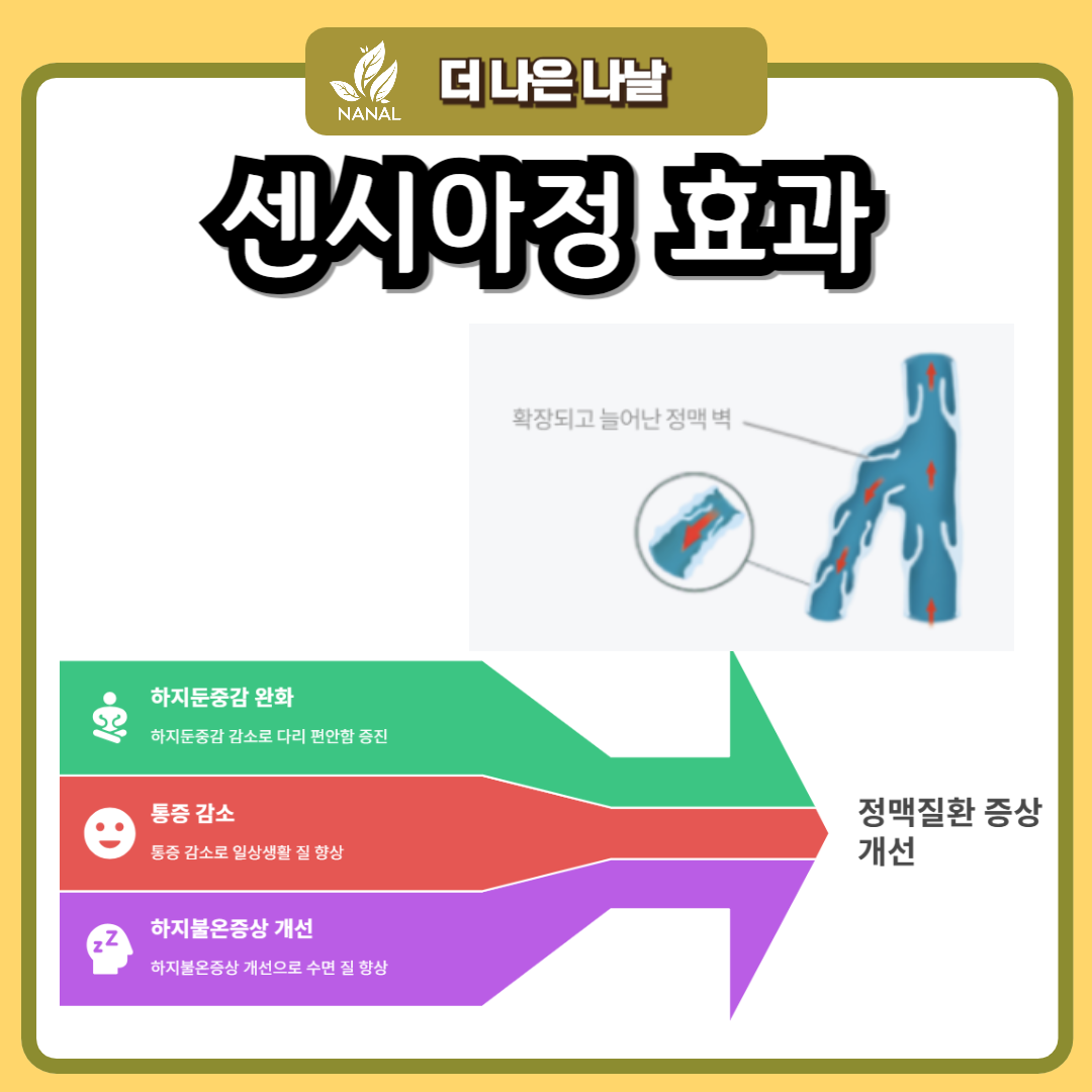 센시아 효과