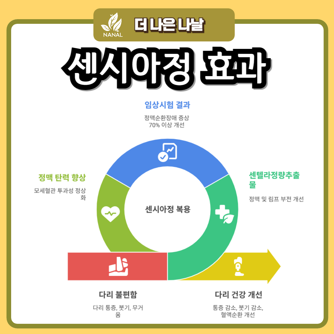 센시아 효과
