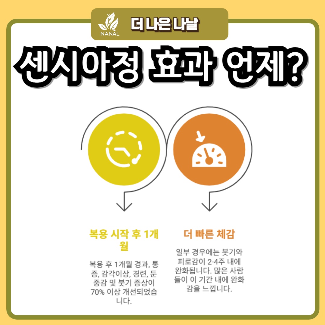 센시아 효과 언제