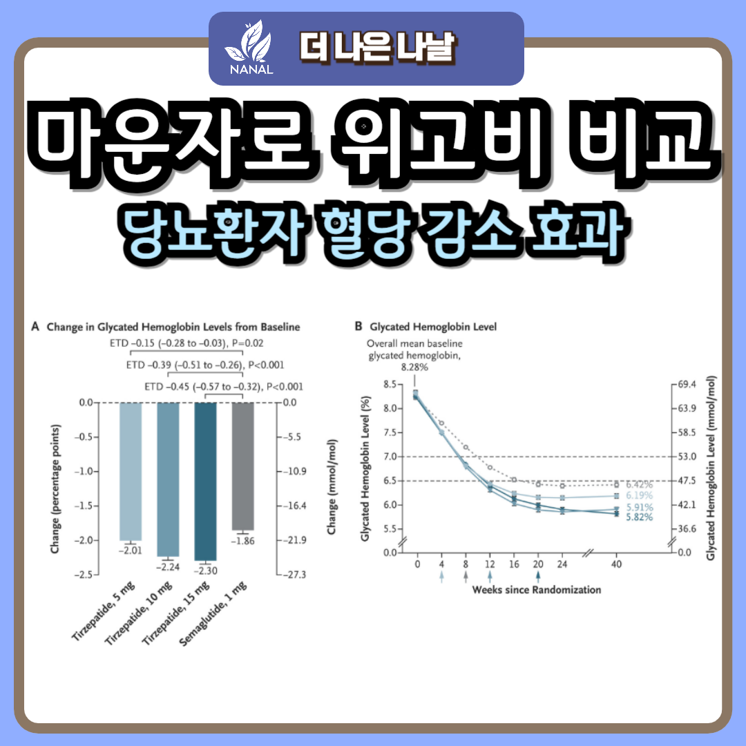 마운자로 용량 효과 부작용 위고비 용량 임상비교 9 마운자로 위고비 용량 비교
