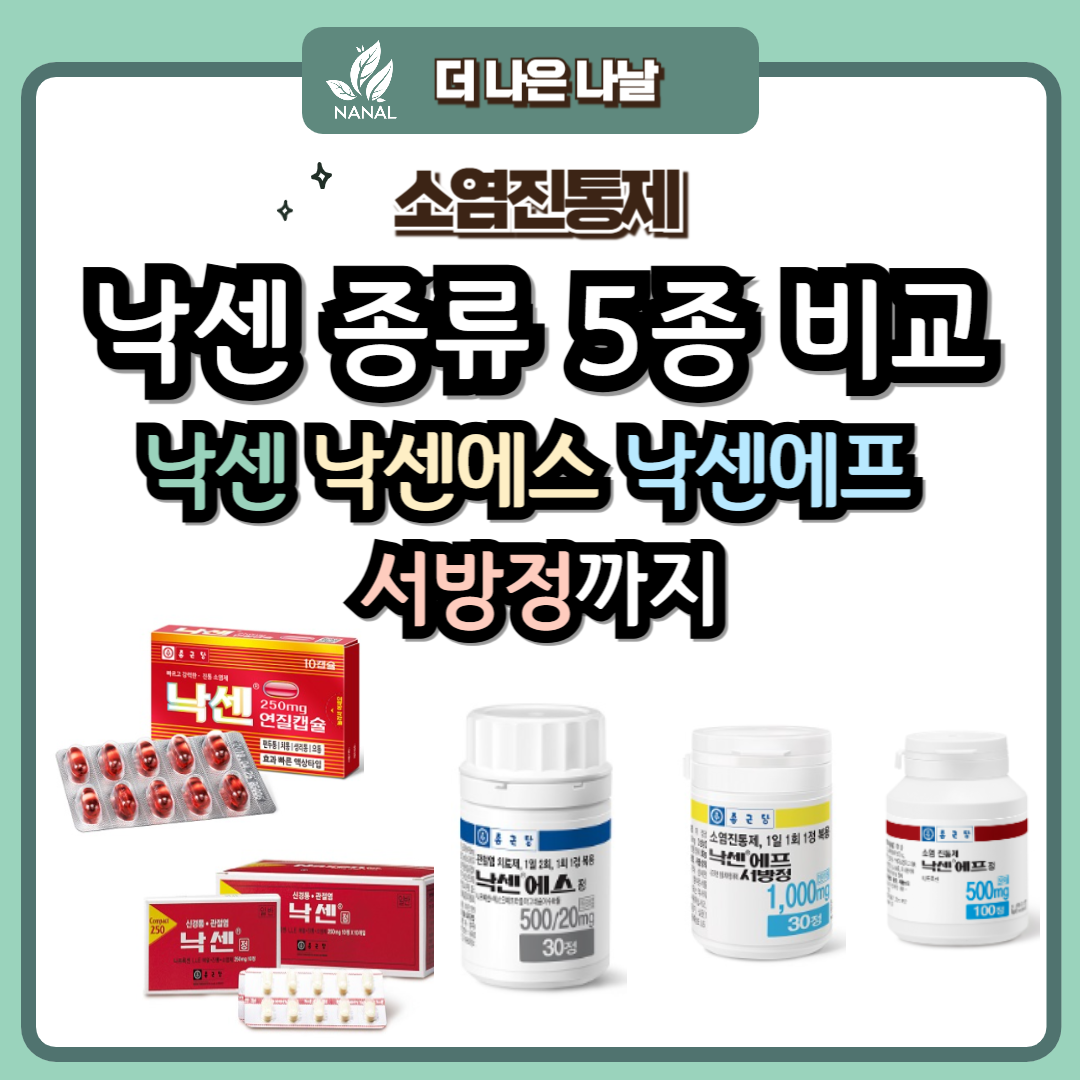 낙센 종류 5종 비교 낙센에스 낙센에프 서방정