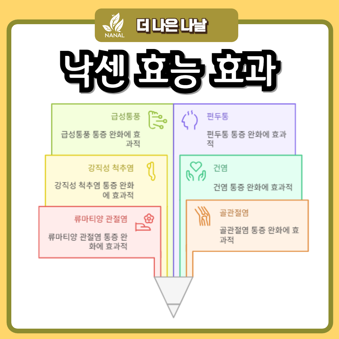 낙센정 vs 낙센연질캡슐: 효능 부작용 가격 비교와 약국 찾는 방법 3 낙센연질캡슐 낙센정 효능 효과