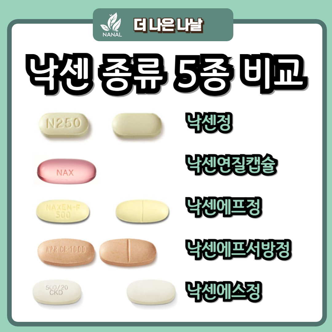 낙센 종류 5종 비교 낙센에스 낙센에프 서방정