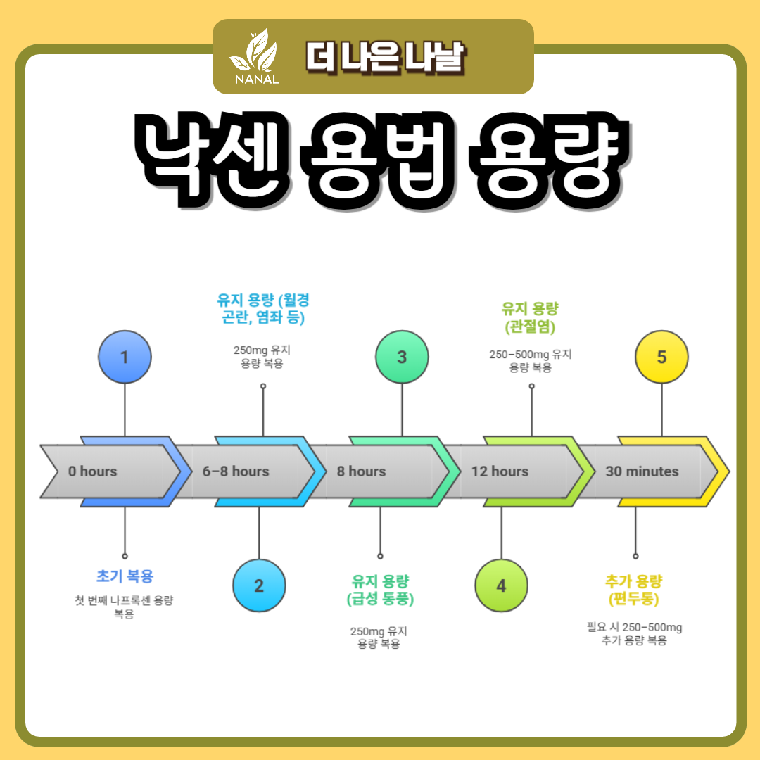 낙센정 vs 낙센연질캡슐: 효능 부작용 가격 비교와 약국 찾는 방법 5 낙센 용법 용량