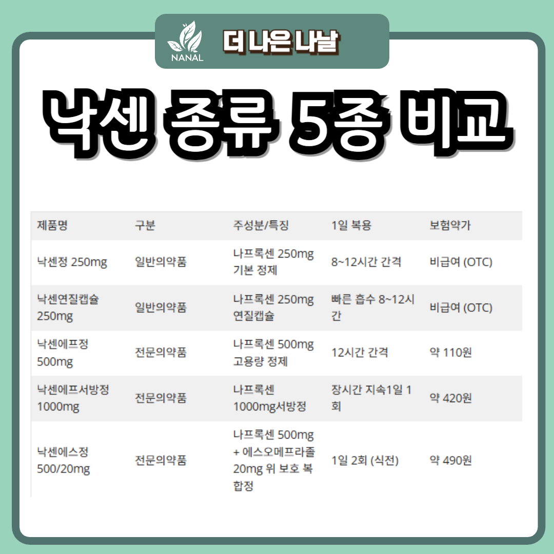 낙센 종류 5종 비교 낙센에스 낙센에프 서방정