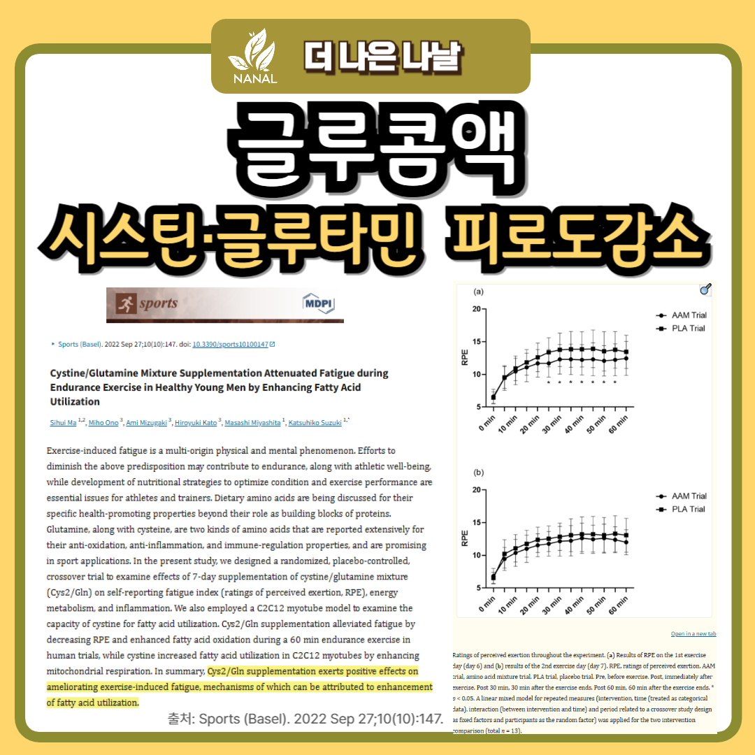 글루콤 성분 효과와 가격 저렴한 약국 찾는 방법 5 글루콤앤 성분 시스틴 글루타민 임상 효과
