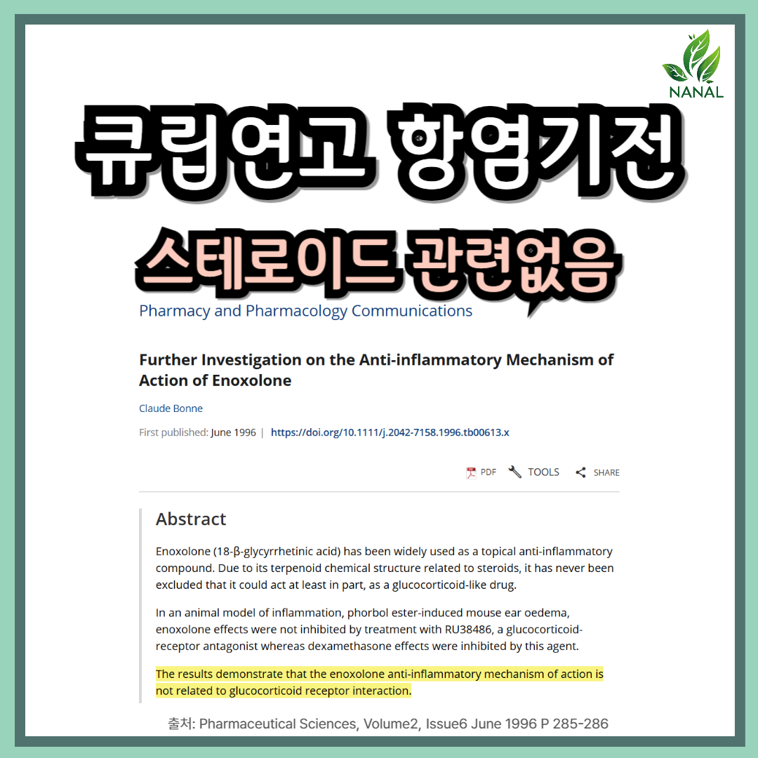 큐립연고 스테로이드 관련 없음 항염기전
