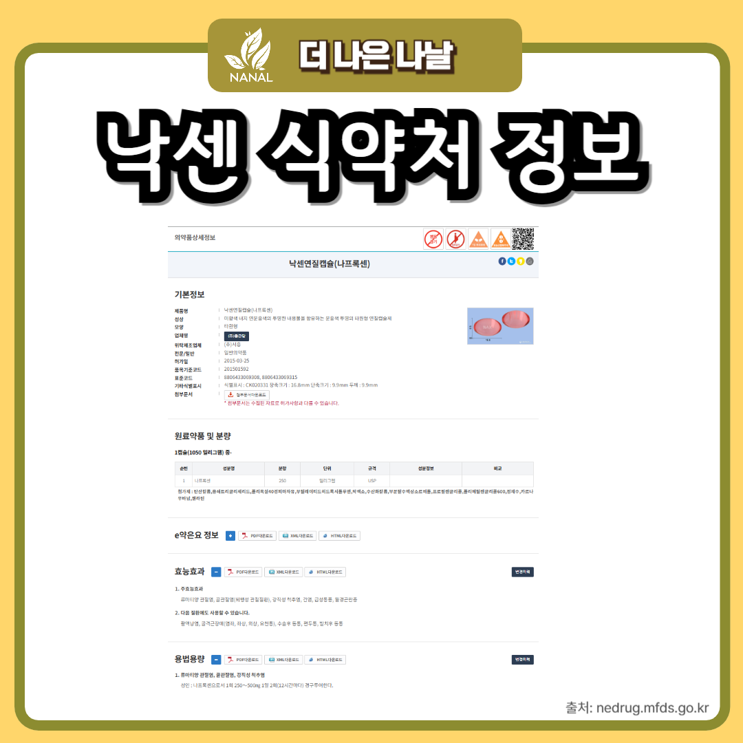 낙센정 vs 낙센연질캡슐: 효능 부작용 가격 비교와 약국 찾는 방법 6 낙센 식약처 정보