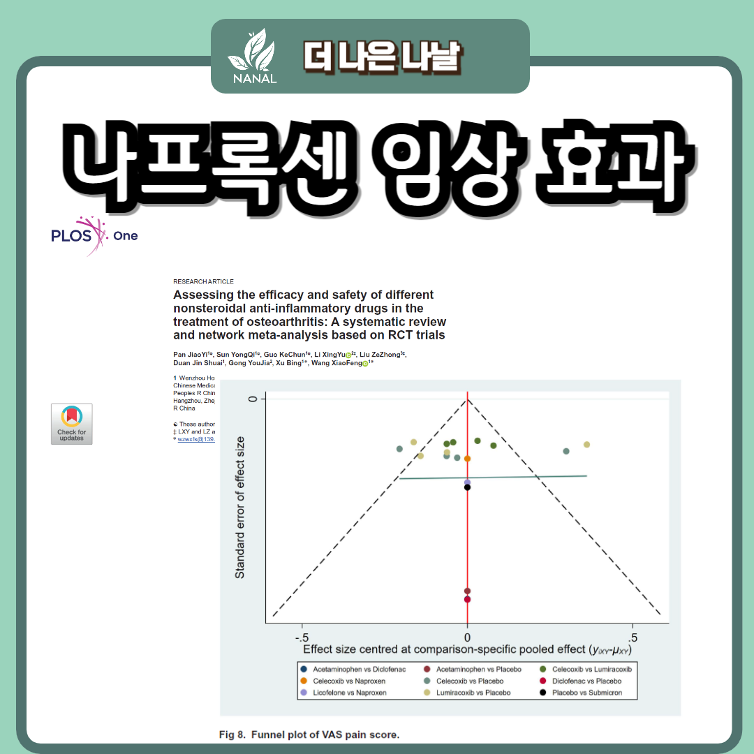 낙센 나프록센 임상 효능 효과