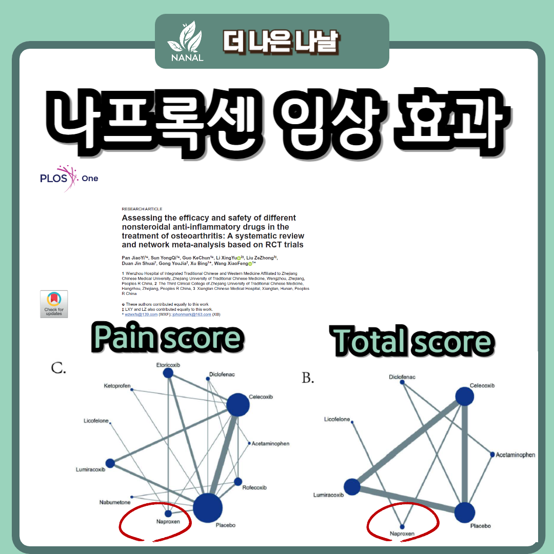 낙센 나프록센 임상 효능 효과