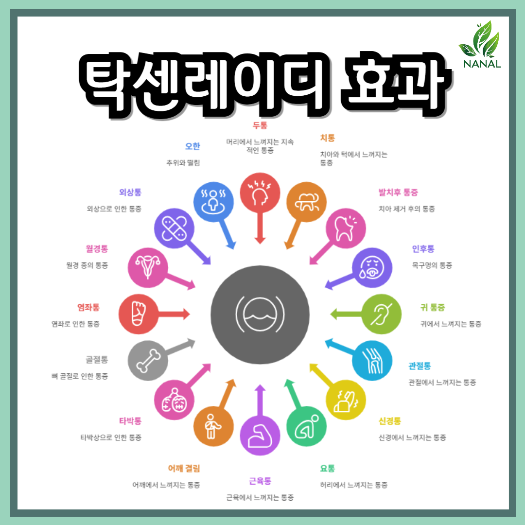 탁센레이디 효과