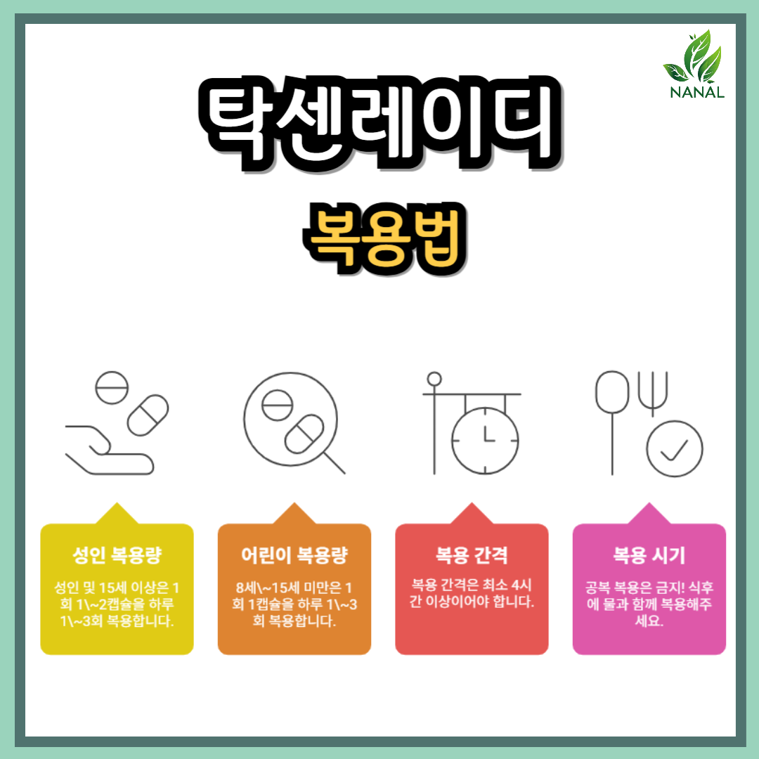 탁센레이디 복용법 간격