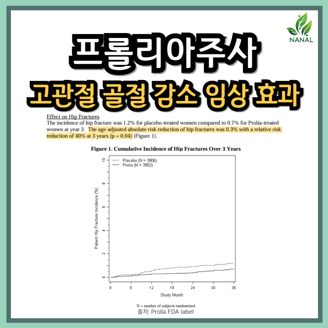 프롤리아주사 효능 효과 임상결과