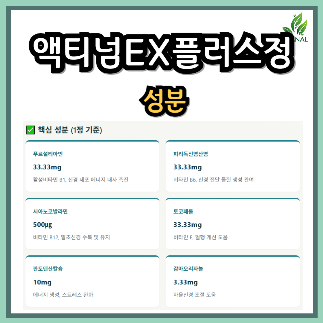 액티넘EX플러스정 성분 효과