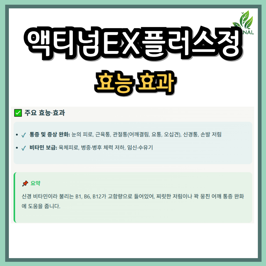 액티넘EX플러스정 효능 효과