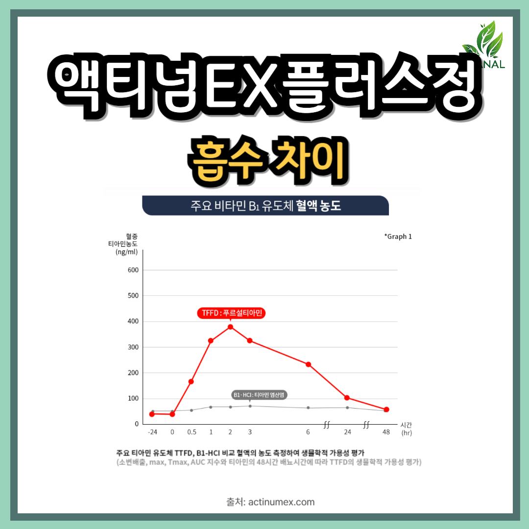 액티넘EX플러스정 효과