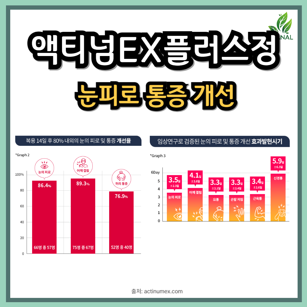 액티넘EX플러스정 눈피로 통증 개선 효과