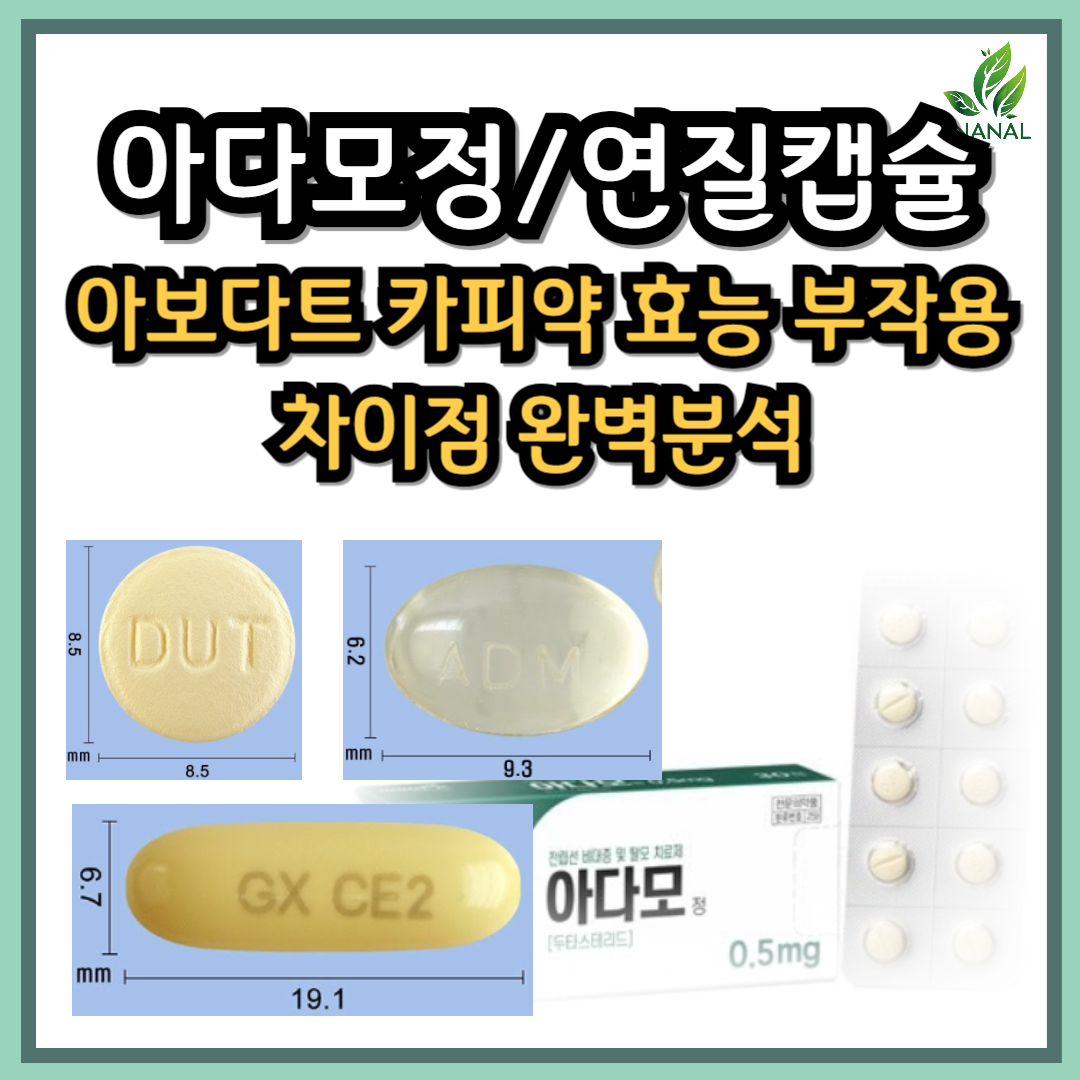 아보다트카피약 아다모정 아다모연질캡슐 효능 부작용 차이점 완벽정리